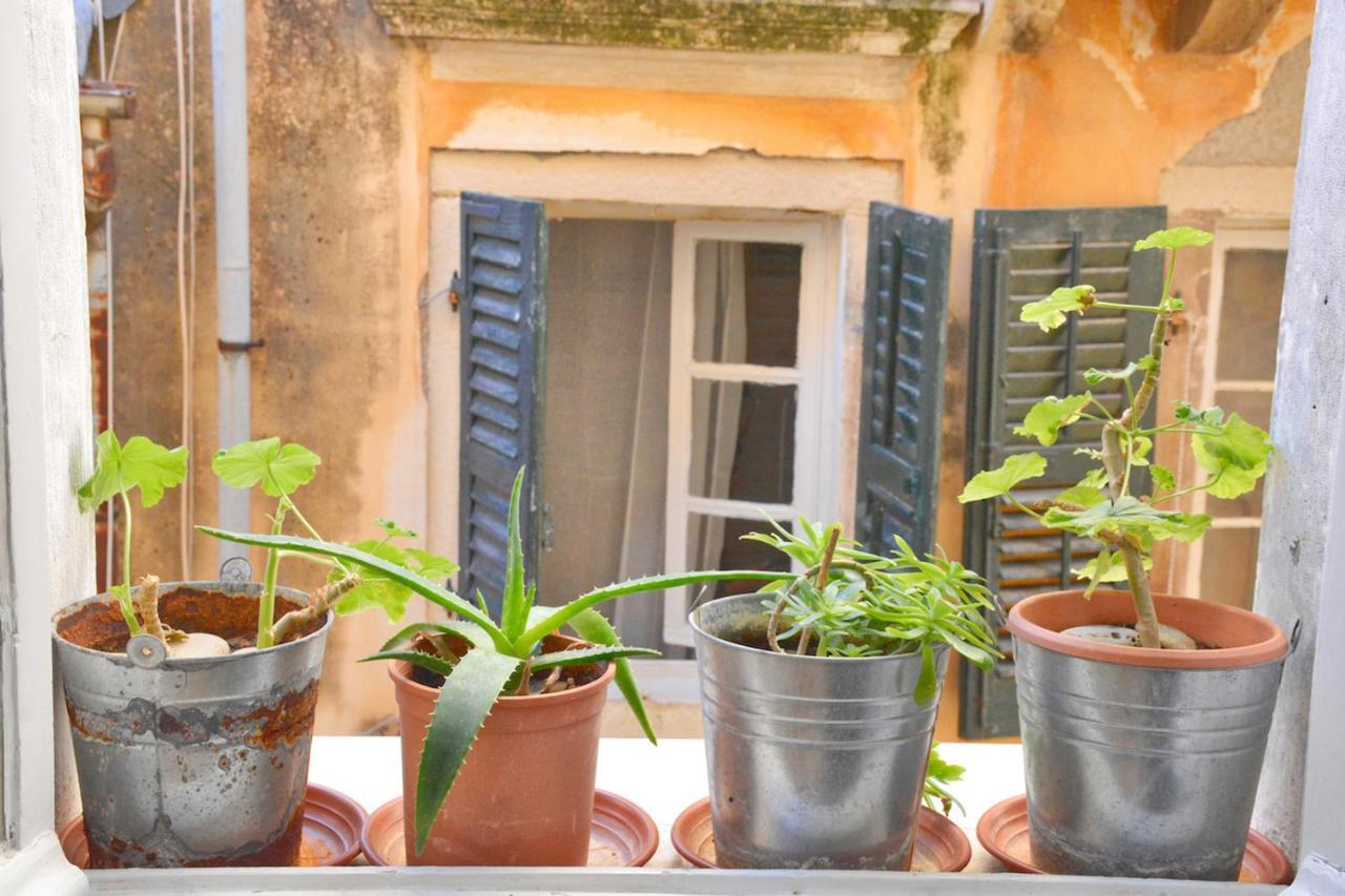 Roses Apartment In Corfu City Centre Exteriör bild